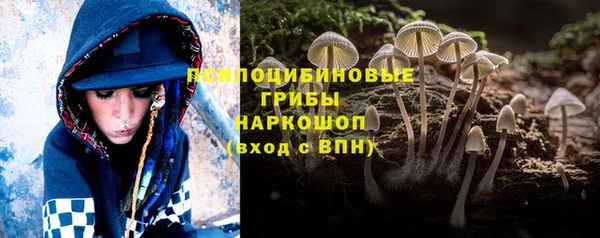 меф Гусь-Хрустальный