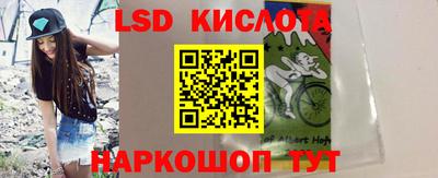 крисы Краснодар