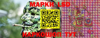 крисы Краснодар