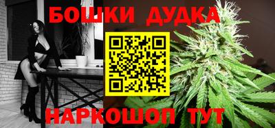 крисы Краснодар