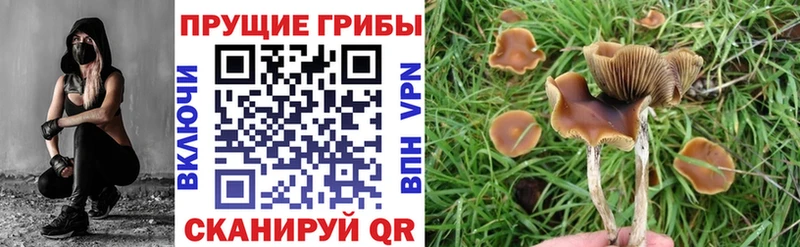 наркошоп  Дивногорск  Галлюциногенные грибы ЛСД 