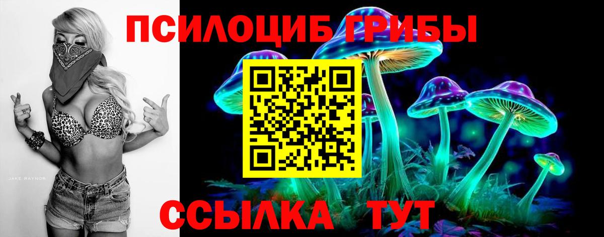 Псилоцибиновые грибы мицелий Дивногорск